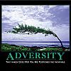 adversity by admin in Demotivational posters