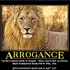 arrogance by admin