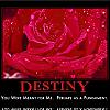destiny by admin in Demotivational posters