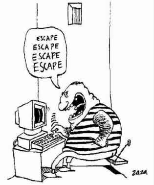 escape by admin in Funny Pictures