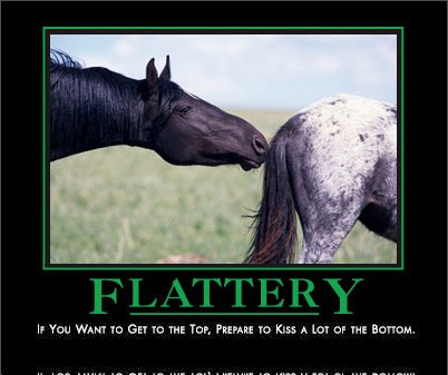 flattery by admin in Demotivational posters