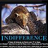 indifference