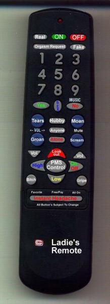 ladiesremote by admin in Funny Pictures