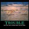trouble by admin in Demotivational posters